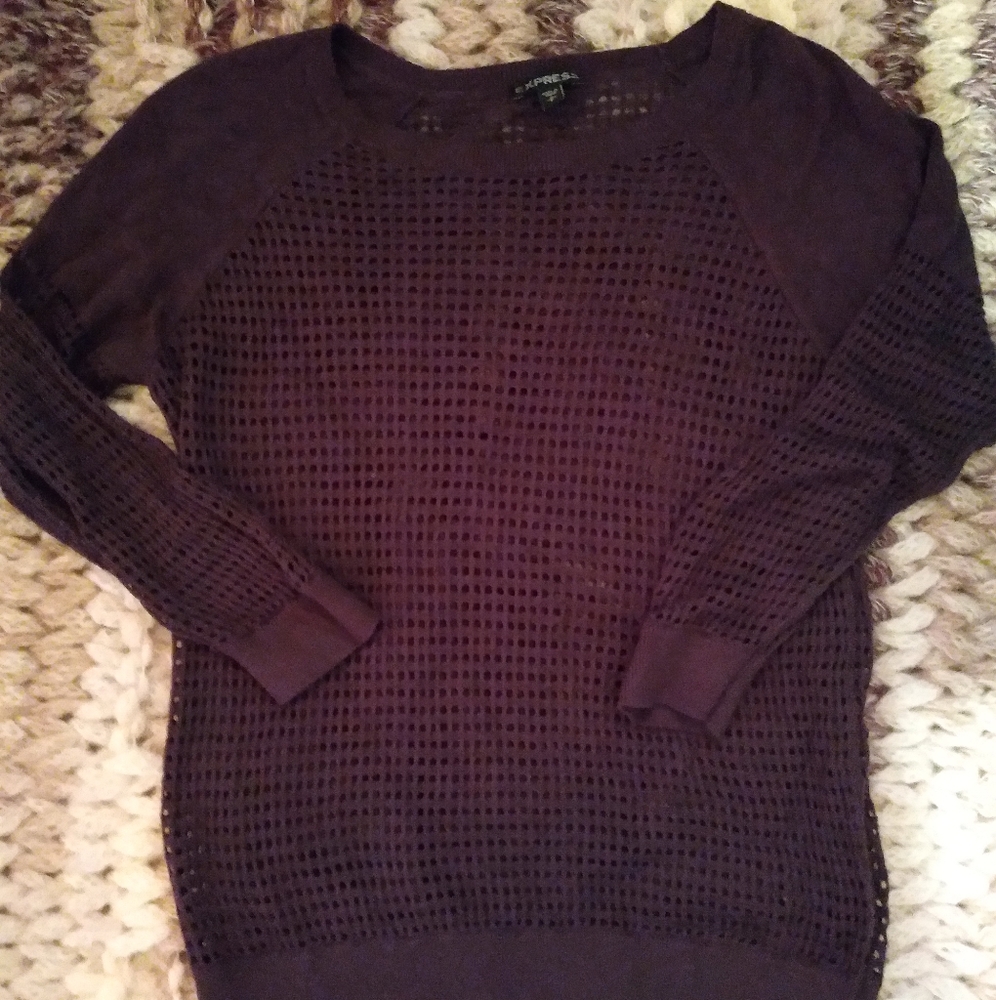 Dark purple Express sweater